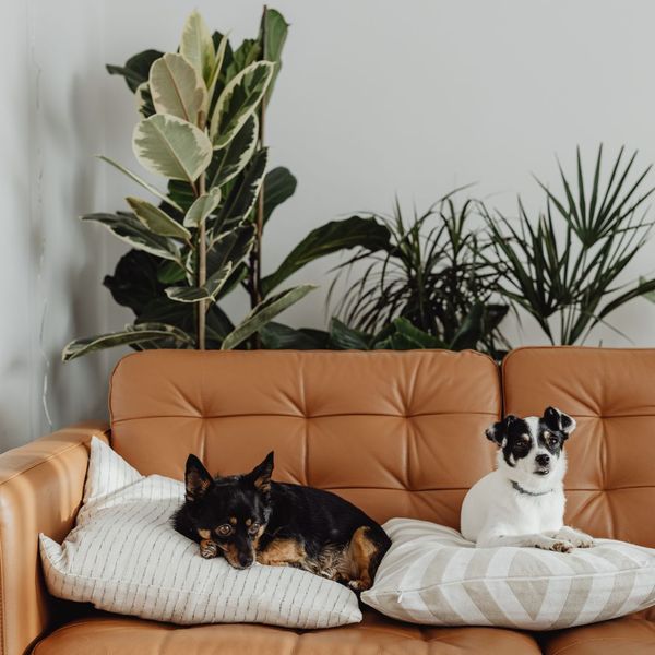 Residential Heating Amp Air 2 Residential Heating Amp Air 2